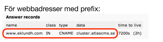 prefix