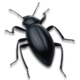 bug